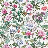 Porcelaine De Chine - Fuchsia Cutting