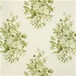 campanula - olive