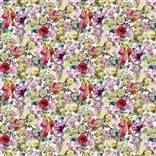 Orangerie - Rose Lithos
