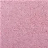 Azuara - Peony Cutting