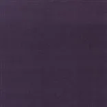 Riding Velvet - Purple