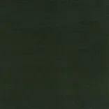 Riding Velvet - Green