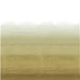 Shoshi Sepia