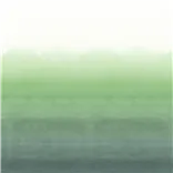 Shoshi - Jade Large Sample