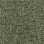 Cavazzo Moss