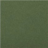 Mezan Stretto Fern
