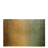 Savoie Vintage Green Rug