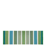 Mahakam Cobalt Runner Outdoor Rug