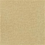 kuta - gold