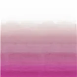 Shoshi Fuchsia