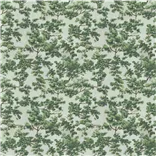 Woodland Forest