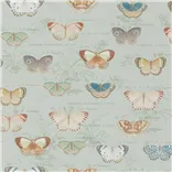 Butterfly Studies Eau De Nil