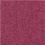 Montague - Magenta Cutting