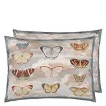 Butterfly Studies Parchment Cushion