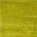 Cartouche Moss
