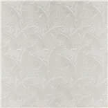 Coco De Mer Opal