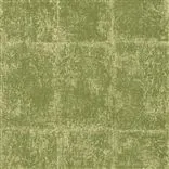 saru - sage