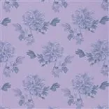Hiyoku - Lavender Cutting