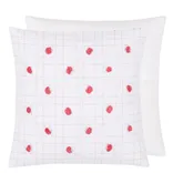 Tufted Cushion Geranium 