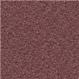 Cadenza - Tea Rose Cutting