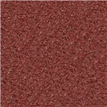 Cadenza Sienna