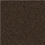 Cadenza - Cocoa Cutting