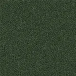 Aria Fir