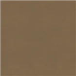 Topcoat Camel