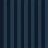 Courtside Stripe Blue
