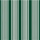 Super Yacht Stripe Green