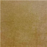 Arolla Mustard