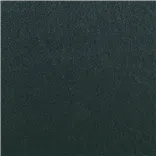Silvretta Teal