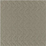 Climbing Rose Damask Dusk