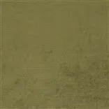 Monceau - Kiwi coupe