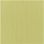 Albemarle Stripe - Lime