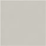 Brinzio Platinum