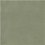 Brinzio - Sage
