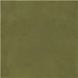 Brinzio - Moss
