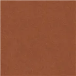 Brinzio - Amber