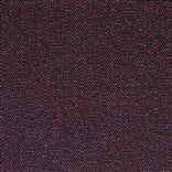 Sloane - Crocus Cutting