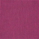 eton - fuchsia