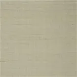 regent taffeta - parchment