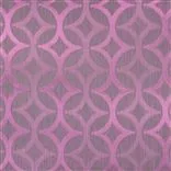 Koshi - Fuchsia Cutting