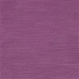 Mesilla - Plum Cutting