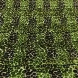 Zannachi - Emerald Cutting