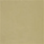 cassia - biscuit