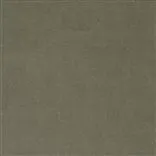 cassia - roebuck