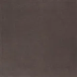 cassia - moleskin