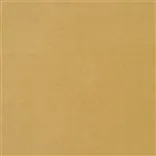 cassia - ochre