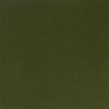 Cassia - Fern Cutting